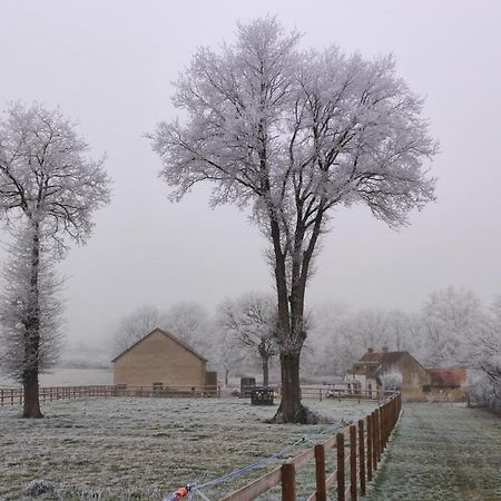 Вилла Bienvenue A La Grenouillere Le Magny  Экстерьер фото